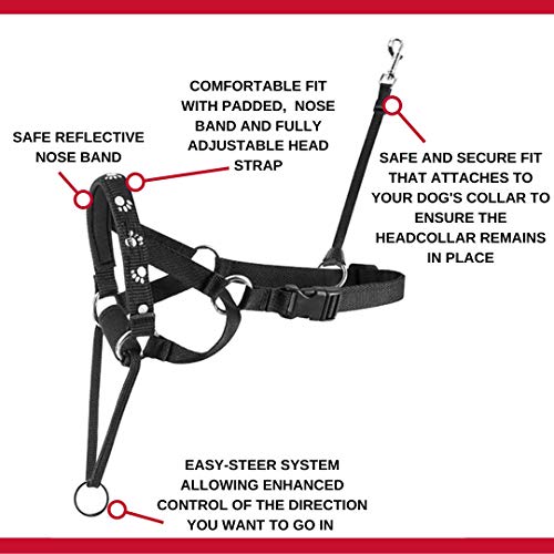 Mikki Pettorina per Cani e Cuccioli Collare a