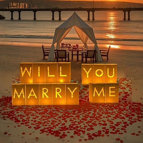 Image of Will You Marry Me Sign -Will You Marry Me Proposals Decorations Marry Me Light Up Letters with LED Lights and Roses, Luminary Paper Bags Proposals, Valentines Day Decorations
