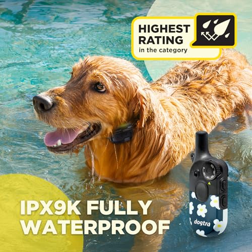 Image of Dogtra 200iQ Remote Training E Collar - 100 Levels, Tone, Vibration, 1 /2 Mile Range - Compact, Waterproof, One-Handed Control for Dogs 10 lbs+ - Lightweight Design for Daily Training - Flower Power