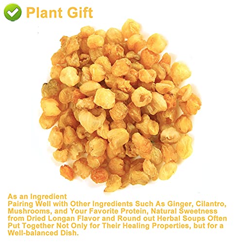 PlantGift Natural Dried Longan 100G/3.52oz 桂圆肉100% fruit Meat, No Sugars, Used in teas, Dessert, Edible, Cooking, Premium Quality