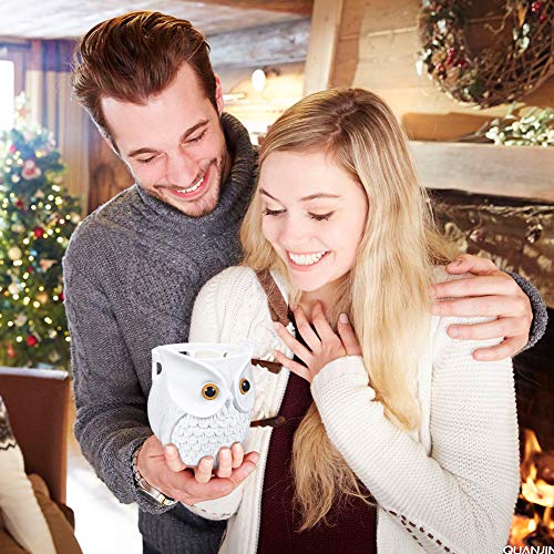 IDEALHOUSE Owl Echo Dot Holder Stand, Owl Statue Smart Speaker Holder Stand for Echo Dot 3rd and 2nd and 1st Generation, Cartoon Decor Owl Shape Home Decor - White