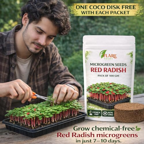 Image of Red Radish Microgreen Seeds, Chemical-Free, Non-GMO, 100 GM Pack with Free One Coco Disk, Grown in India, 7-10 Days Growing Period