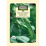 Seeds of Change  Certified Organic Seed, Sugar Pod 2 Snow Pea