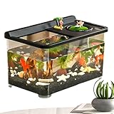 Acuario - Betta con 3 Luces Coloridas | Tanque hidropónico de Alto Nivel | Decoración acuática para casa, Oficina, Hall de Entrada, Dormitorio, Sala de Estar, Entrada y paisajismo Interior