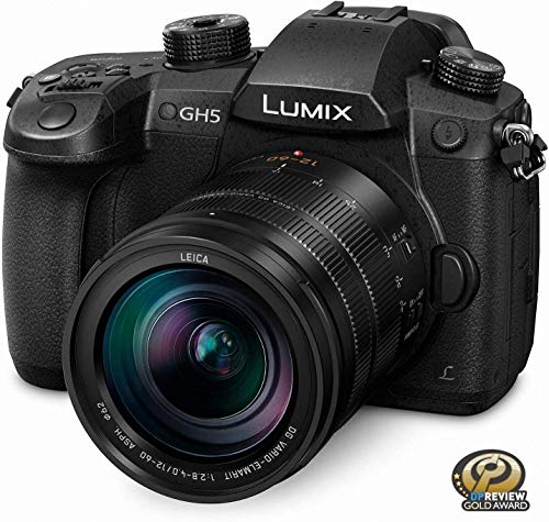 Panasonic Lumix Gh5 4K Mirrorless Camera With Lecia Vario-Elmarit 12-60Mm F2.8-4.0 Lens (Dc-Gh5Lk) #TOP1