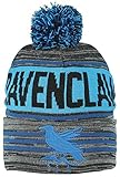 Bioworld Harry Potter Black Blue Ravenclaw Rolled Beanie