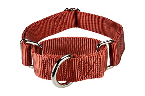 Mikivery Martingale Hundehalsband, Nylon, verstellbar und Sicherheitstraining, Ziegelrot, Karamell, Bequeme Metallschnalle, Haustierhalsbänder für kleine, mittelgroße und große Hunde