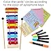 Metal Xylophone - 15 Note Color Glockenspiel - Sheet Music Cards