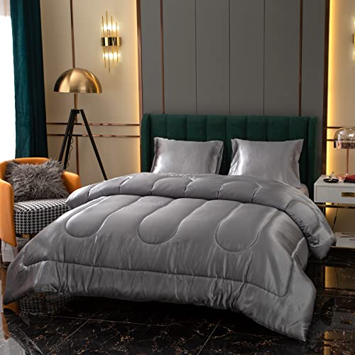 Satin Comforter King Size Silk Like Gray Comforter Set Sexy Silky Satin Polyester Filling Bedding Sets Luxury Hotel Silky Comforter 1 Comforter 2 Pillowcases (King, Grey)