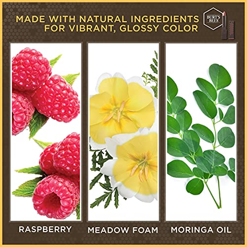Burts Bees 100% Natural Glossy Lipstick, Peony Dew - 1 Tube #TOP1