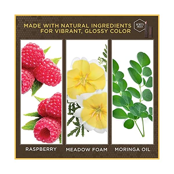 Burtâs Bees 100% Natural Glossy Lipstick, Peony Dew - 1 Tube