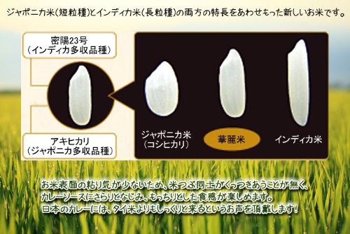 Amazon.co.jp: 【精米】 新潟県 妙高産 華麗舞 令和6年産 (5kg) : 食品 