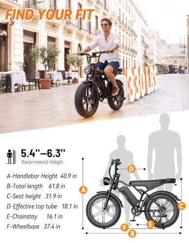 Jasion RetroVolt 330 Electric Bike