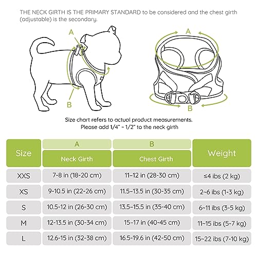 BELLA & PAL Dog Harness and Leash Set, Step-in Puppy Harness, Breathable Air Mesh with Reflective Strips - Image 4