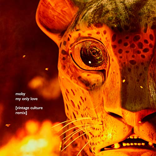 Moby & Vintage Culture