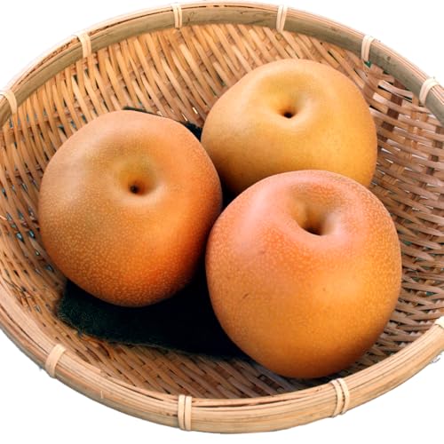 極上の雫 『 豊水 』 5kg (自家用) 2026年産 フルーツ 果物 国産 日本産 梨 ナシ なし 和梨 [DJ002ci]