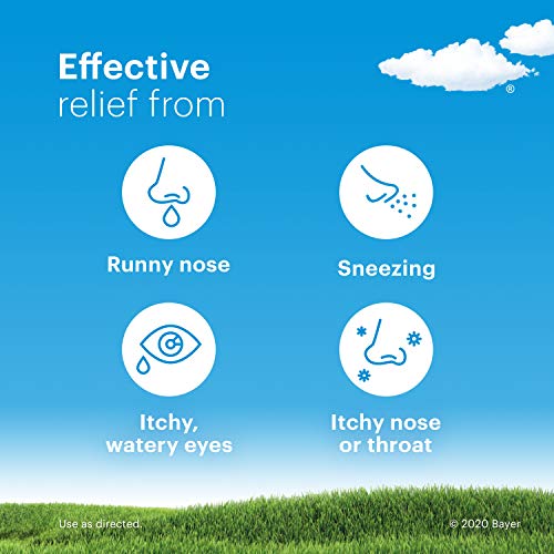 Image of Junior's Claritin 24 Hour Non-Drowsy Allergy RediTabs, 10 mg, 30 Count