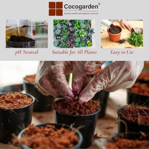 Image of Cocogarden Cocopeat Disc (100 mm, Pack of 2) | for Seedling, Germination, Home Gardening, Potting Soil Mix for Plants, Hydroponics