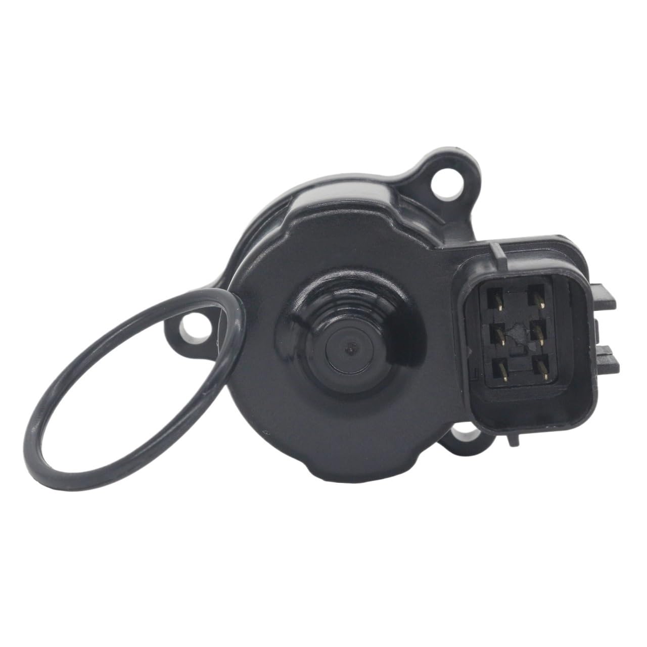 Parti marine Per Suzuki 18137-93J00 IAC per compatibile con 4 tempi DF 150 175 200 225 250 motore fuoribordo-93J01 1813793J01