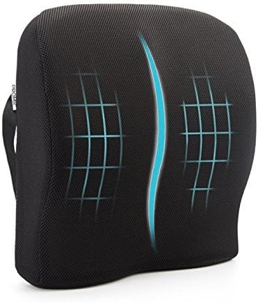 EPMIC Back Cushions Support Memory Foam with 3D Mesh Cover Lumbar Support Pillow for Lower Back Pain Office and Home Chair Pads Comfortable Seat Cushion,Black Color