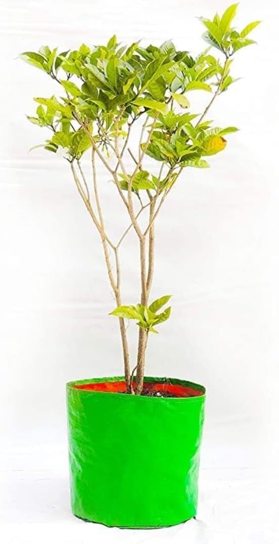 MASHKI HDPE Grow Bags 18"x18" Inches Grow Bags for Home Gardening/Terrace/Balcony Gardening/Vegetable Plants for Home Gardening Big Size (1) (B0D4F3VJ1N) Amazon Price History, Amazon Price Tracker