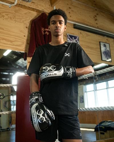 Image of STING Boxing - Armalite Boxing Gloves | for Competition & Training (10OZ, Black /Silver)