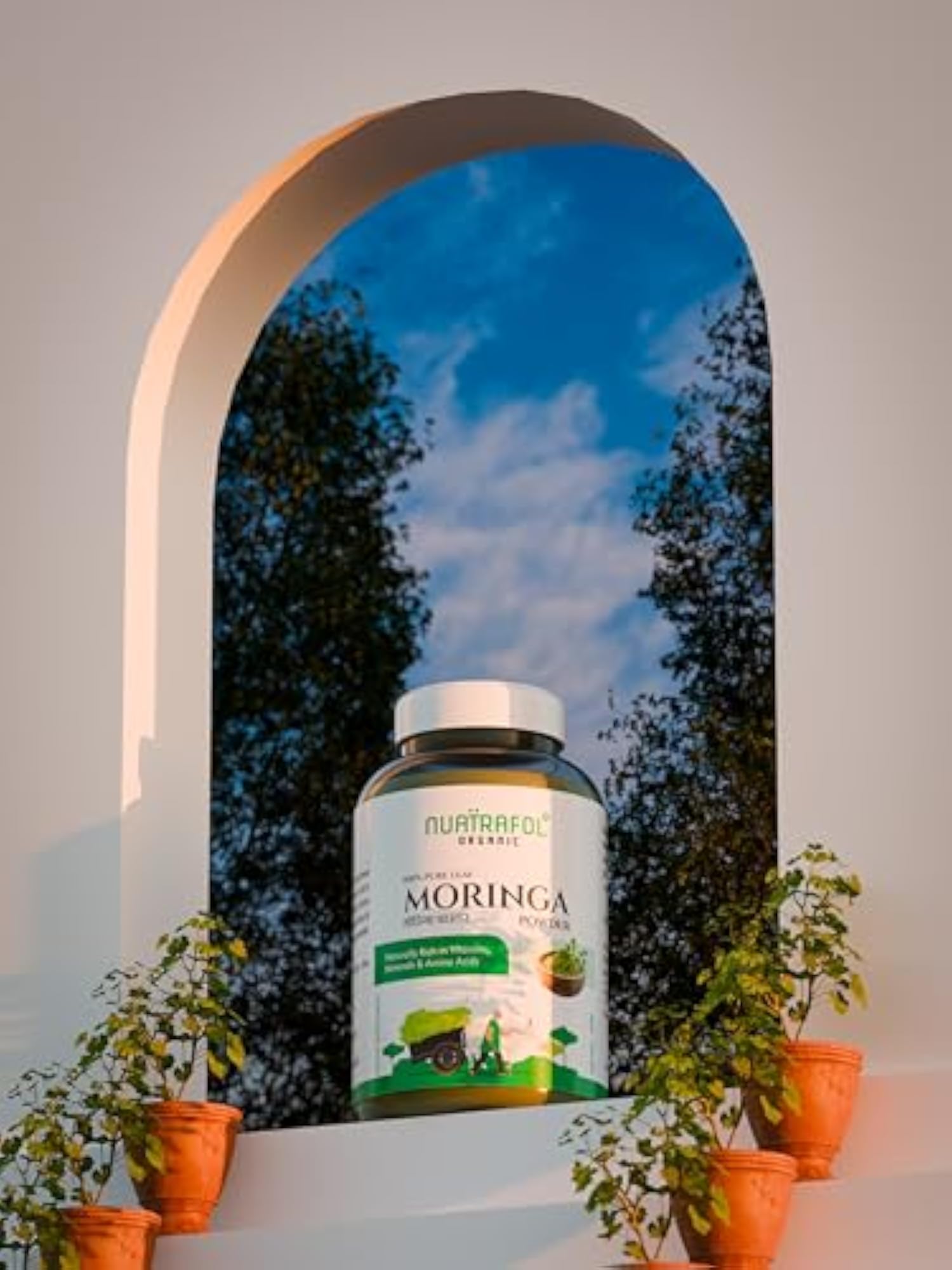 Organic Moringa Powder for Digestion & Energy Support
