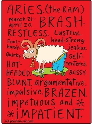 Aries naughty Clayboys - RECTANGLE MAGNET