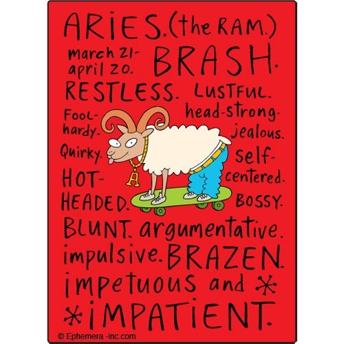 Aries naughty Clayboys - RECTANGLE MAGNET