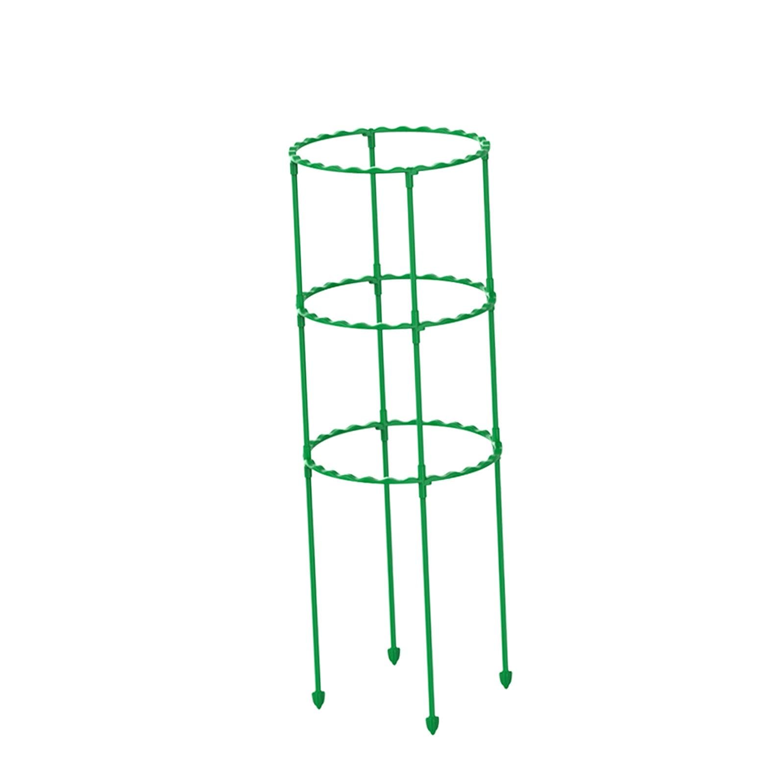 Tomato Growing Cage Garden Plant Support Stakes for Potted Plants Vines Pots Three Layer 55Cm-image-34