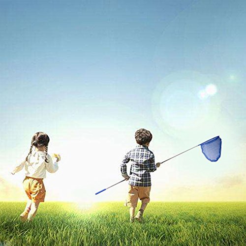 Kids Telescopic Butterfly Fishing Nets Catcher For Kids 3 Pack For Catching Bugs Insect Small Fish Extendable 34" Inch #TOP3