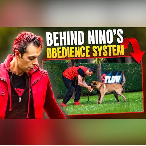 Page de couverture de Ep. 34 - From Fear to Mastery: Nino (STSK9) on Building the S-Flow Dog Training System
