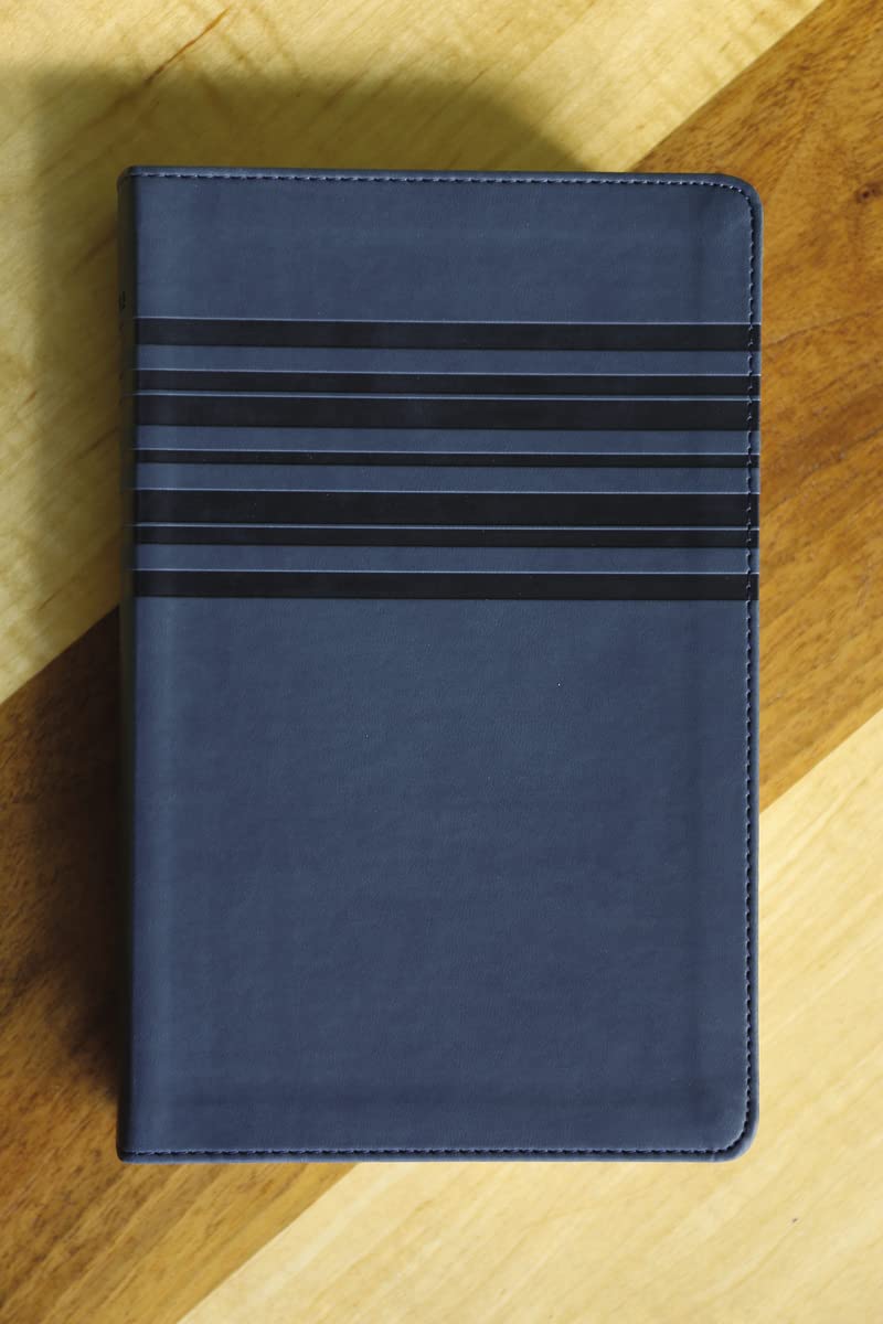 NIrV, Holy Bible, Large Print, Leathersoft, Blue - Image 5