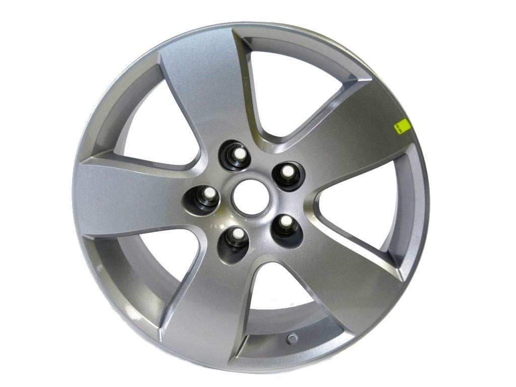 Amazon.com: Mopar 1DZ12PAKAB 20