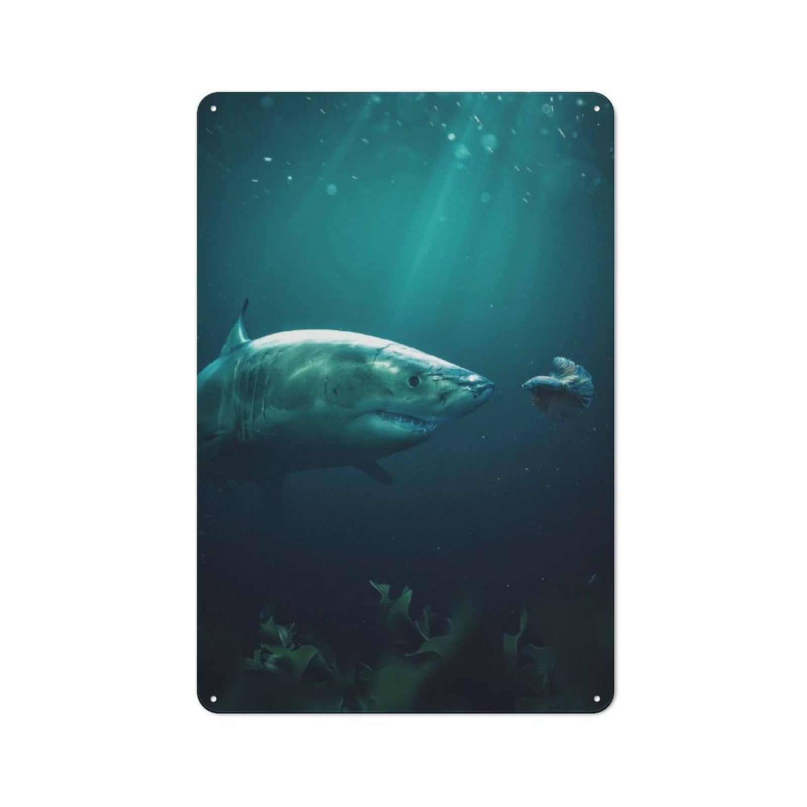 Shark Meets Betta Metal Wall Sign 30x20cm, Modern Retro Loft Wall Plaque for Flat, Bar, Studio Or Gallery Wall