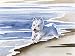 West Highland Terrier Art Print by Artist DJ Rogers