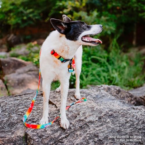 Image of Wilderdog Waterproof Dog Collar - Repels Water & Dirt - Large 17 inch-24 inch - Tie Dye