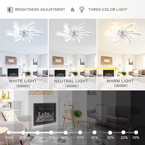 Ventilateurs de plafond à intensité variable avec lumières et télécommande - 4
