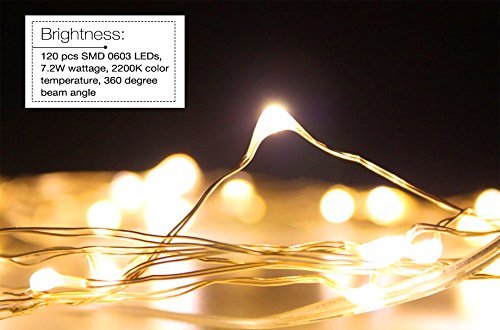 Torchstar 33Ft 100Leds Fairy String Lights Dimmable With Remote Control, Waterproof Copper Wire Firefly Lights For Christmas Bedroom Wedding Festival Party Decor, Ul-Listed Usb Adapter, Warm White  #TOP7
