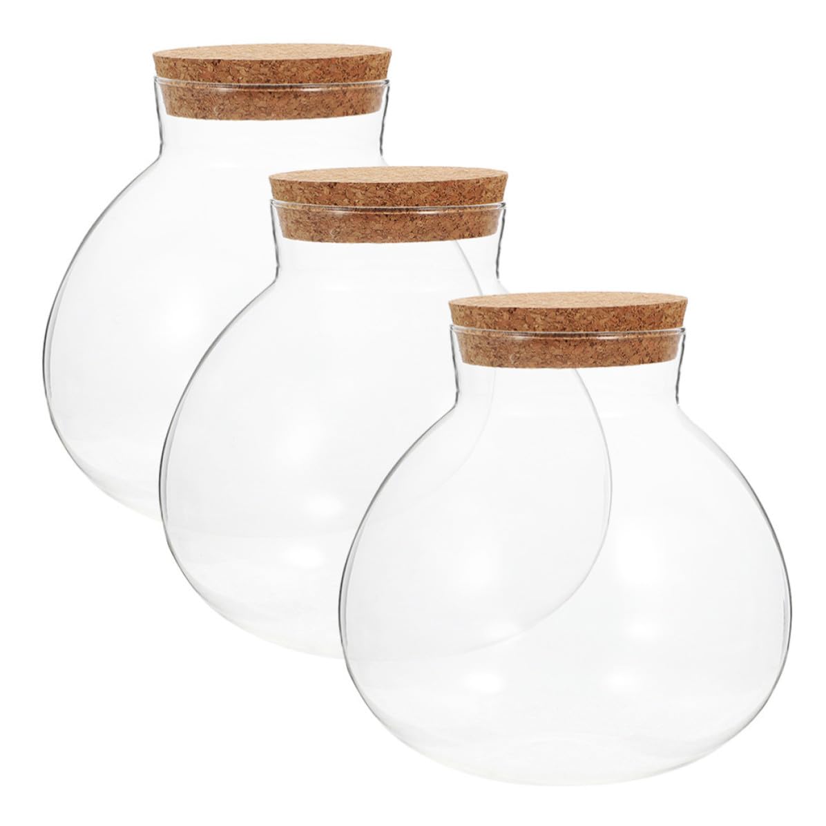 Terrarium transparent facile à nettoyer en verre pour vos minis plantes