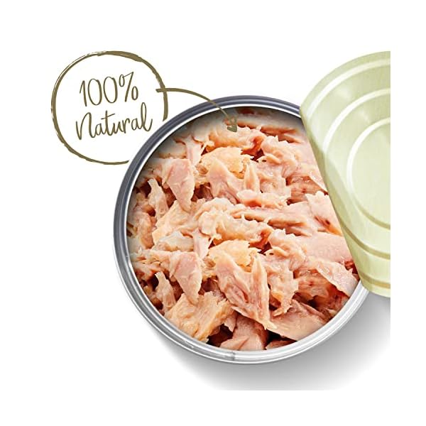 Applaws Premium Natural Katzenfutter Nass, Thunfischfilet in Brühe 70g Dose (24 x 70g) – Bild 3