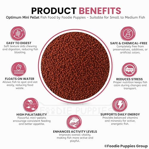 Image of Foodie Puppies Optimum Fish Food - 200gm (Mini Pellet) | Highly Digestible & Added with Fish Meal & Corn Protein Meal | Highly Nutritious Fish Food for All Aquarium Fish with Free Key Ring