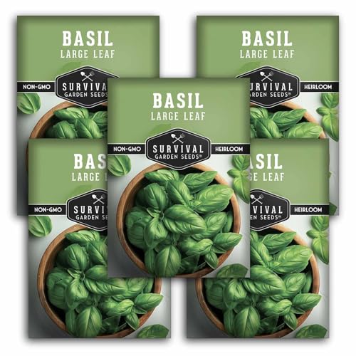 Survival Garden Seeds - Large Leaf Basil Seed for Planting - 5 Packets with Instructions to Plant and Grow Sweet Basil Plants in Your Home Vegetable Garden - Non-GMO Heirloom Variety - 1 Packet