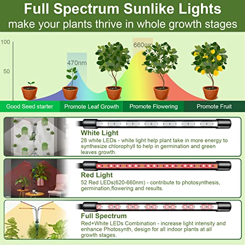 Jirbeey Grow Lights With Stand For Indoor Plants Full Spectrum,80Leds Plant Light With 25"-63" Adjustable Tripod, Dimmable Plant Growing Lamp With 4/8/12H Timer #TOP1
