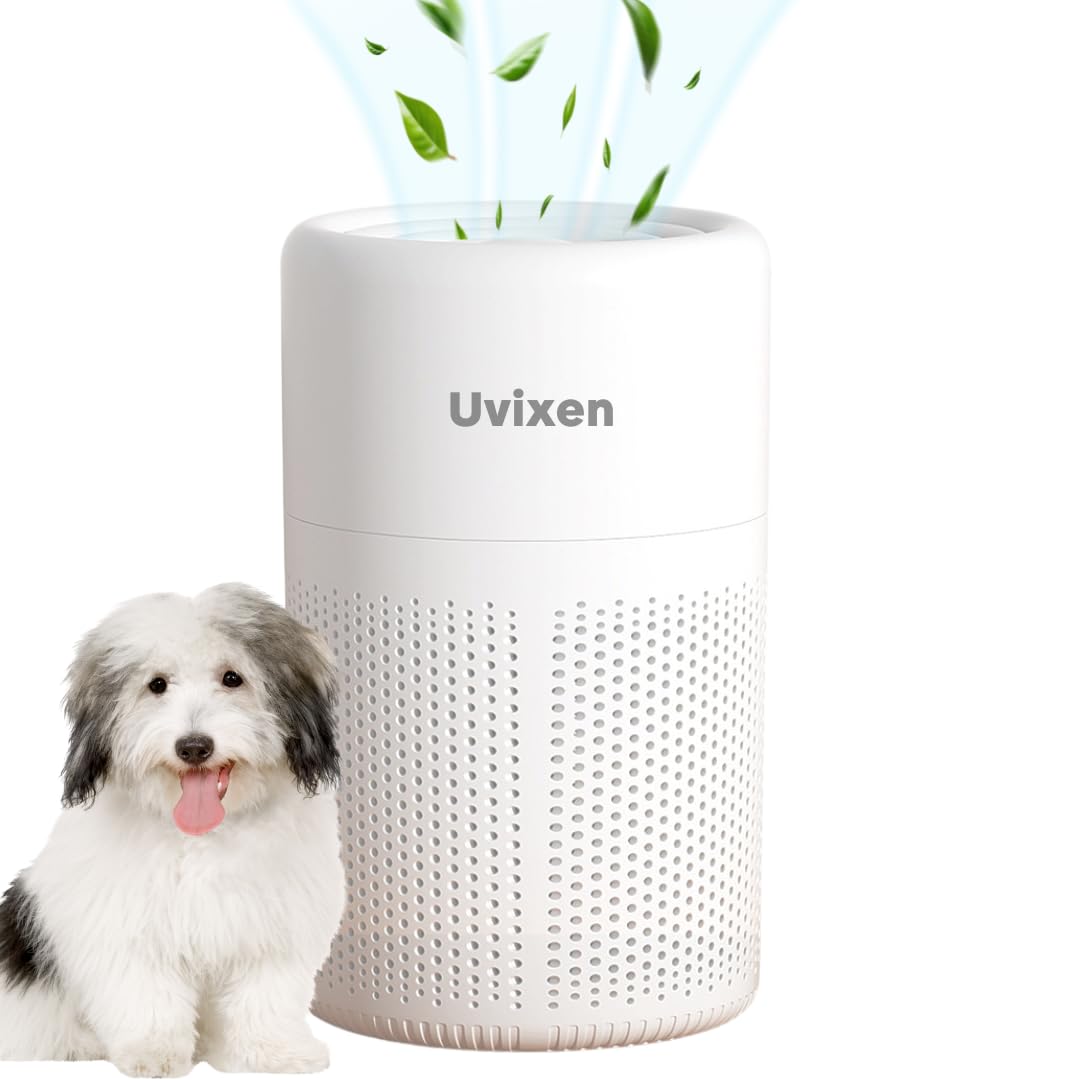 Air Purifiers for Home - Mini Air Purifier with HEPA Air Filter- USB Operated Air Purifier for Bedroom