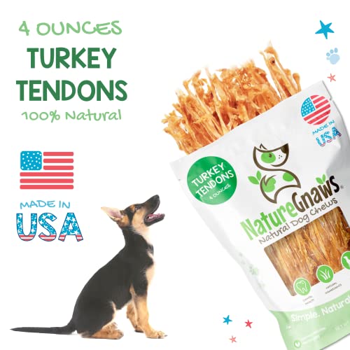Nature Gnaws Usa Turkey Tendons for Canine Premium Pure Chew Treats Scrumptious Reward Snack for Small Medium Giant Canine Made in the Usa 4 Oz Bag Cucciolini Doodles Nature gnaws usa turkey tendons for canine premium pure chew treats scrumptious reward snack for small medium giant canine made in the usa 4 oz bag cucciolini doodles