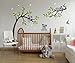 LUCKKYY Three Cute Koalas Tree Branches Wall Decal Wall Sticke Family Tree Wall Decal Vinyl Wall Sticker Baby Nursery Decor Kids Room Decoration (Brown)