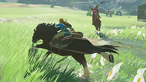 Nintendo The Legend of Zelda: Breath of the Wild - vue 10