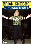 2016 Topps Heritage WWE WCW/nWo WCW All-Stars #38 Brian Knobbs WCW Official Wrestling Trading Card