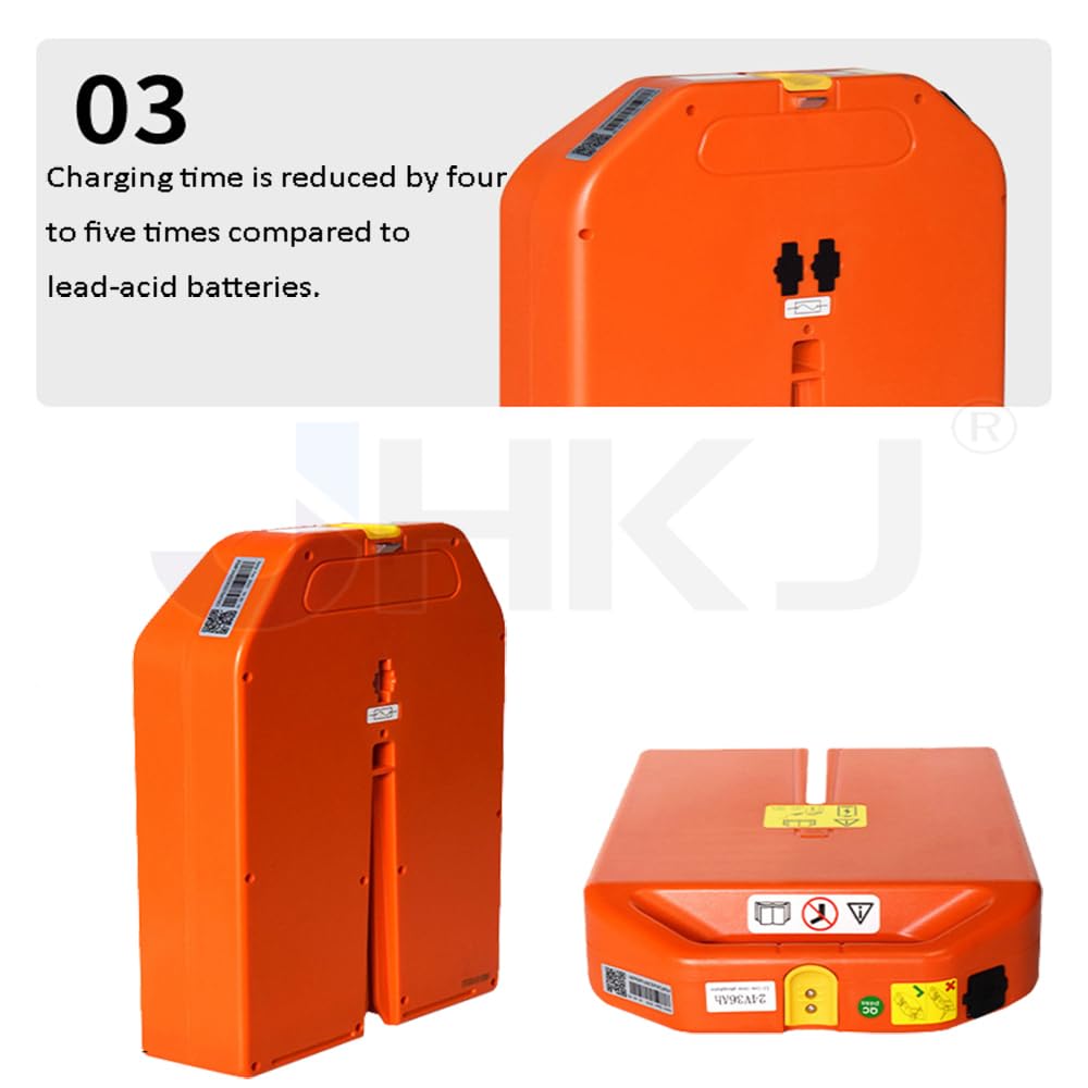 Batteria LiFePO4 per transpallet da 24 V 20 Ah e 36 Ah, Batteria al Litio Ferro fosfato per Carrello elevatore Elettrico da 48 V 20 Ah per Motore PTE15N/PTE20N.